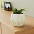 White Pumpkin Ceramic Planter - The Earth Store - Planter